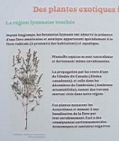 05 - Des plantes exotiques introduites au 19e (1).jpg